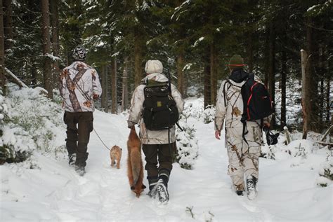 Bruk av hund på revejakt Romedal Almenning og Stange Almenning