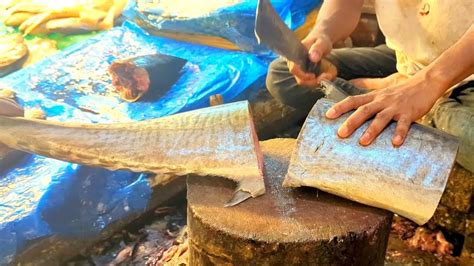 Amazing Seer Fish Cutting Skills Fish Cutting Expert Cutting Seer