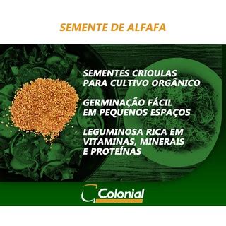 Semente de Alfafa Orgânica Para Brotos 500g Cultivo Orgânico Produza em