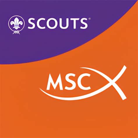 Scouts Msc Impacto By Movimiento Scouts Msc