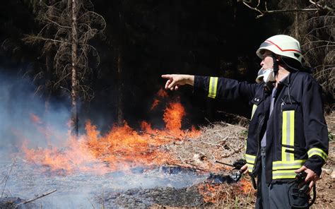 Brandgefahr Im Sommer Wie Sie Helfen K Nnen Waldbr Nde In Deutschland