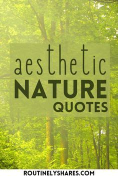 125 Aesthetic Nature Quotes for When You are Lost in Nature in 2024 | Nature lover quotes ...