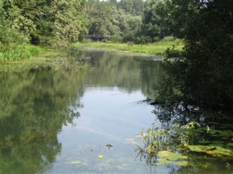 apartments  lekenik direct croatiacom