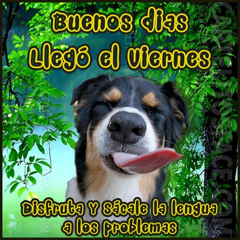 Humor de Viernes - Taringa!