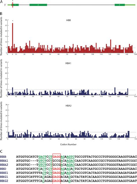 Incidence Of Codon Mutation In Hbb Variants That Each Represent A Download Scientific Diagram