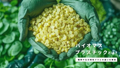 mitani jam