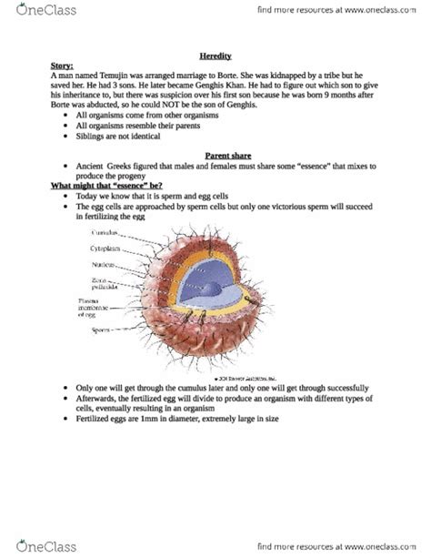 BIOL 112 Lecture 7 Lecture 7 Got 94 In The Course OneClass