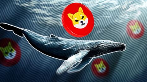 This Crypto Whale Nyerok Shiba Inu SHIB Is Worth IDR 2 3 Trillion