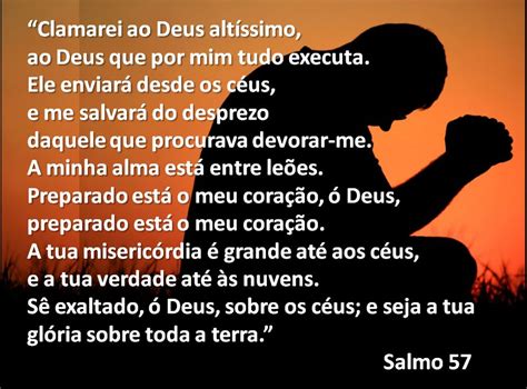 Viv Ncias Salmo