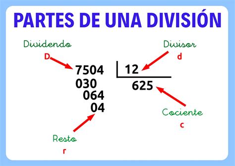 Divisiones Como Hacer Divisiones Partes Y Tipos De Una Division Images