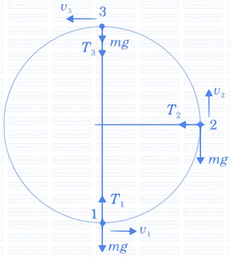 Circular Motion Physics Jee Main Formulas Examgoal