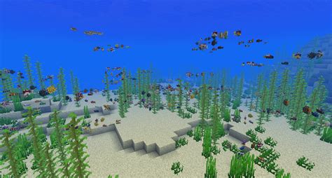 Minecraft Fish Types