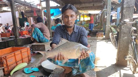 Incredible Giant Catla Carp Fish Cutting 1 4 Kg Katla Mass Cutting