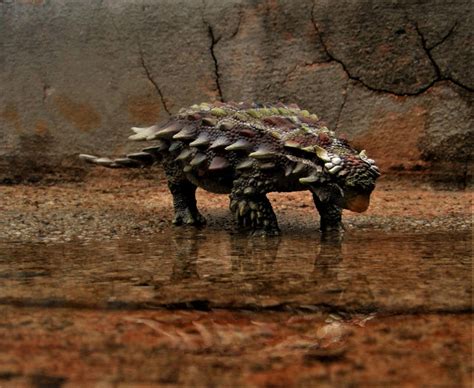 Pinacosaurus by zoome3 on DeviantArt