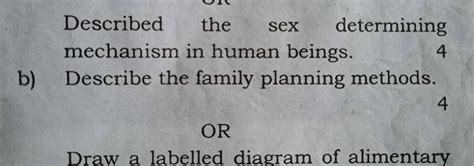 Described The Sex Determining Mechanism In Human Beings 4 B Describe Th