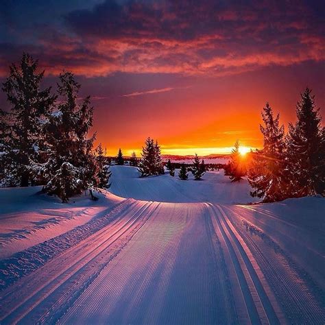 Winter Morning Oppland Norway Photo By Jappern Lindas Paisagens