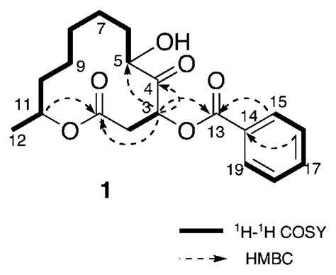 Marine Drugs Free Full Text Sporiolides A And B New Cytotoxic