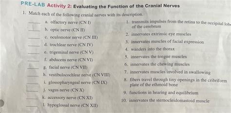 Solved Pre Lab Activity Evaluating The Function Of The Chegg