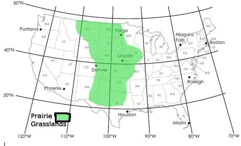 North American Grasslands Home