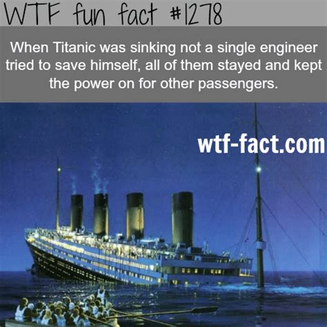 15 Interesting Facts About The RMS Titanic Owlcation 51 OFF