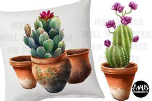 Succulents And Terracotta Pots Clipart Graphic By Ambillustrations