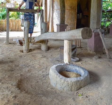 Traditional Rice Milling With A Wooden Mortar And Pestlerice Mortar