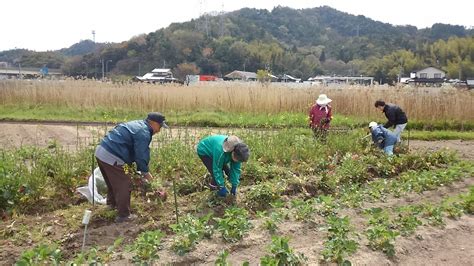 あかり広場｜特定非営利活動法人あかり広場