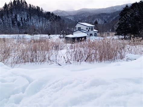 Mountain Forest Hut In Winter Snow Background, Dwelling, House, Shirayuki Background Image for ...