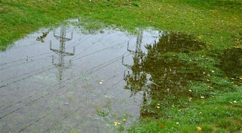 Cómo hacer un buen drenaje en el jardín