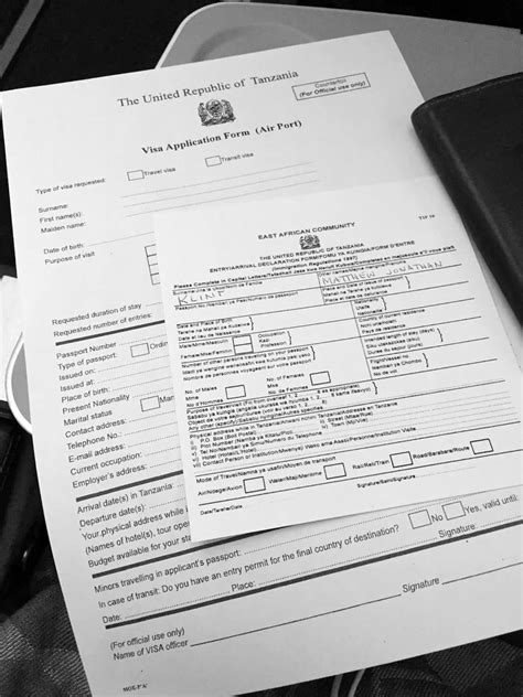 A Step By Step Guide To Tanzania Visa Application From Start To Finish