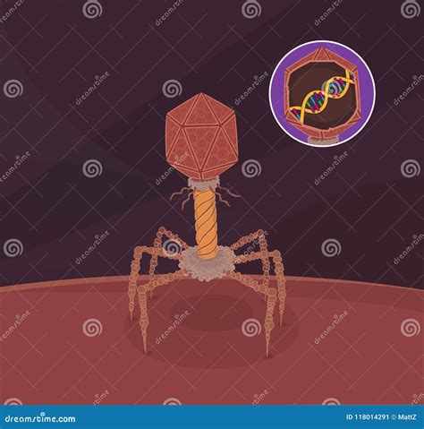 Bacteriophage virus stock vector. Illustration of lamda - 118014291