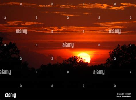 red sunset with clouds and trees in silhouette landscape Stock Photo ...