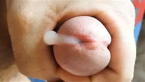 Biel Porn Videos Gay XXX XHamster