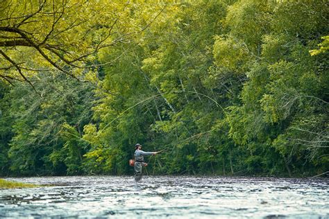 About River Wildlife | Destination Kohler