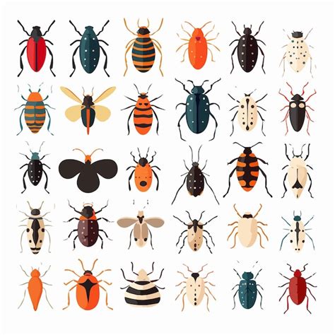 Vibrant Bugs Set Exotic Insects Species From Colorado Featuring