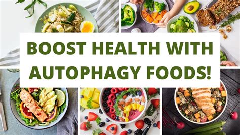 Unlocking The Power Of Autophagy Natural Foods For A Healthier You