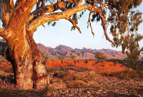 Up North In The Kimberleys Western Australia Australia Landscape