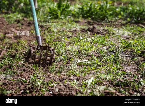 Star Hand Kultivator Den Boden Das Unkraut Im Garten Zu Arbeiten Das