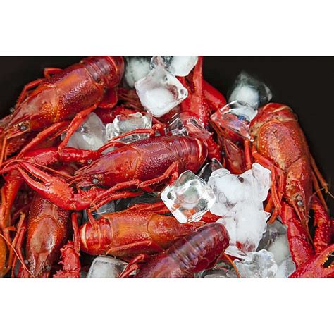 Louisiana Whole Boiled Crawfish 5 lbs with Seasoning - 5155MB2