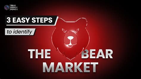 How To Identify The Bear Market I Tips Tricks I True Forex Funds