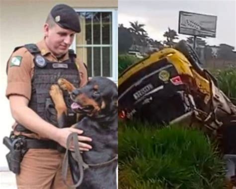 Policial Jean Patrick Niquetti - Policial Rodoviário Estadual de Maringá morre após acidente com viatura ...