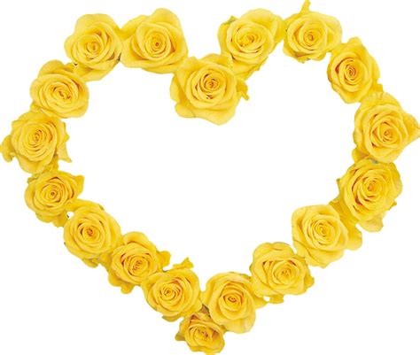 Forgetmenot Yellow Roses Frames In 2020 Yellow Roses Frame Flower