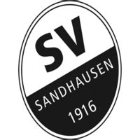 Sv Sandhausen Vs Fc Viktoria Koln Match Xscores