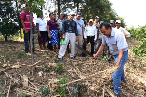 Centa Impulsa Buenas PrÁcticas AgrÍcolas De ConservaciÓn De Suelo Y Agua