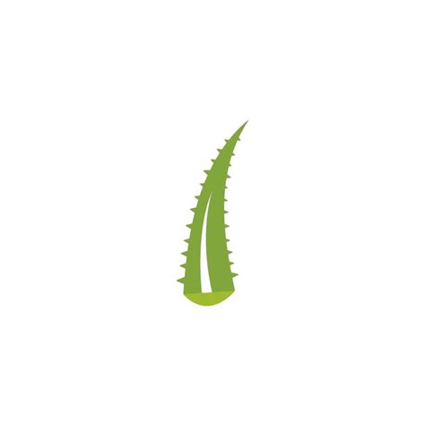 Plantilla De Ilustración De Vector De Logotipo De Aloe Vera PNG