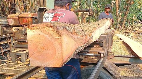 Meterkayu Jati Mahoni Di Rajang Bahan Balok Gergaji Bandsaw