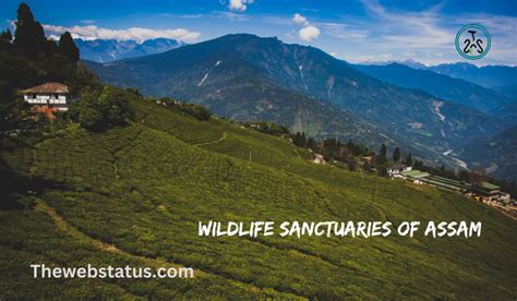 List Of Wildlife Sanctuaries Of Assam