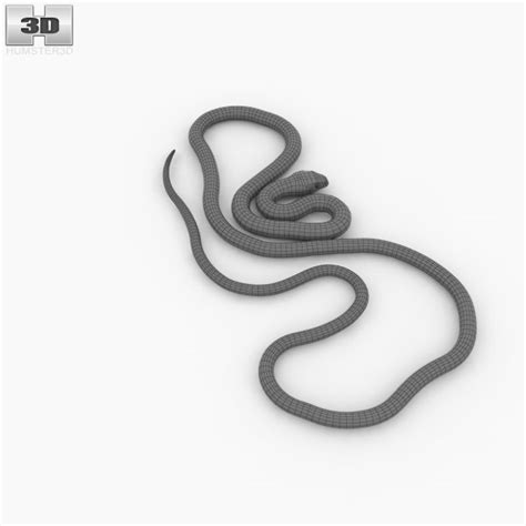 Grass Snake Low Poly 3d Model Download Reptile On