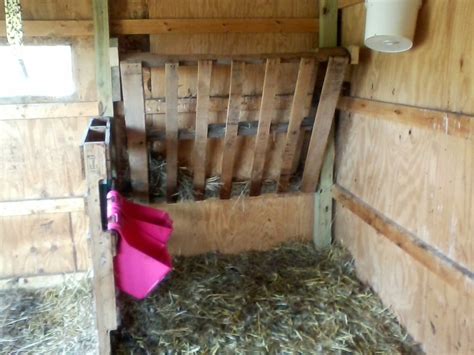 Pallet Hay Feeder