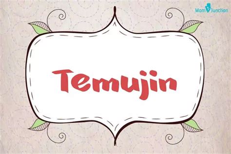 Temujin Name Meaning, Origin, History, And Popularity